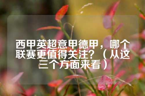 D組