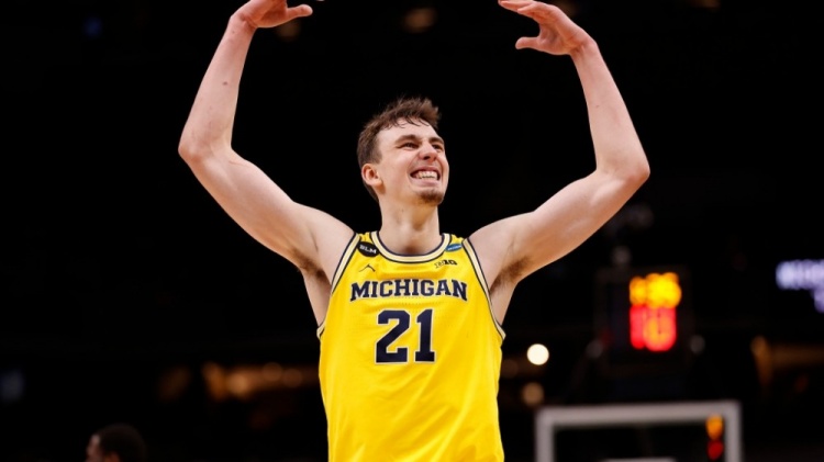 但将分歧公 但将分歧公